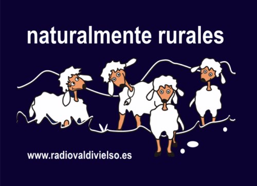 Radio Valdivielso